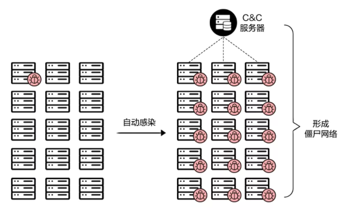 网宿科技董事长刘成彦：把握5G历史机遇 边缘计算助力产业发展