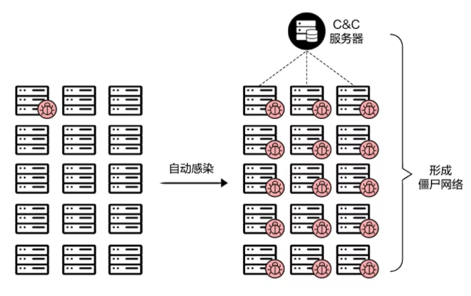 营收止跌，网宿科技转型路柳暗花明？