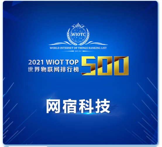 网宿“WSA”荣膺2010中国互联网价值项目奖