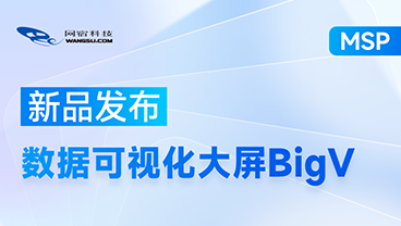 直观炫酷！3分钟读懂网宿数据可视化大屏BigV
